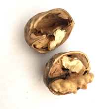Wholesale Cheap Walnuts Nuts Walnut Price Chinese